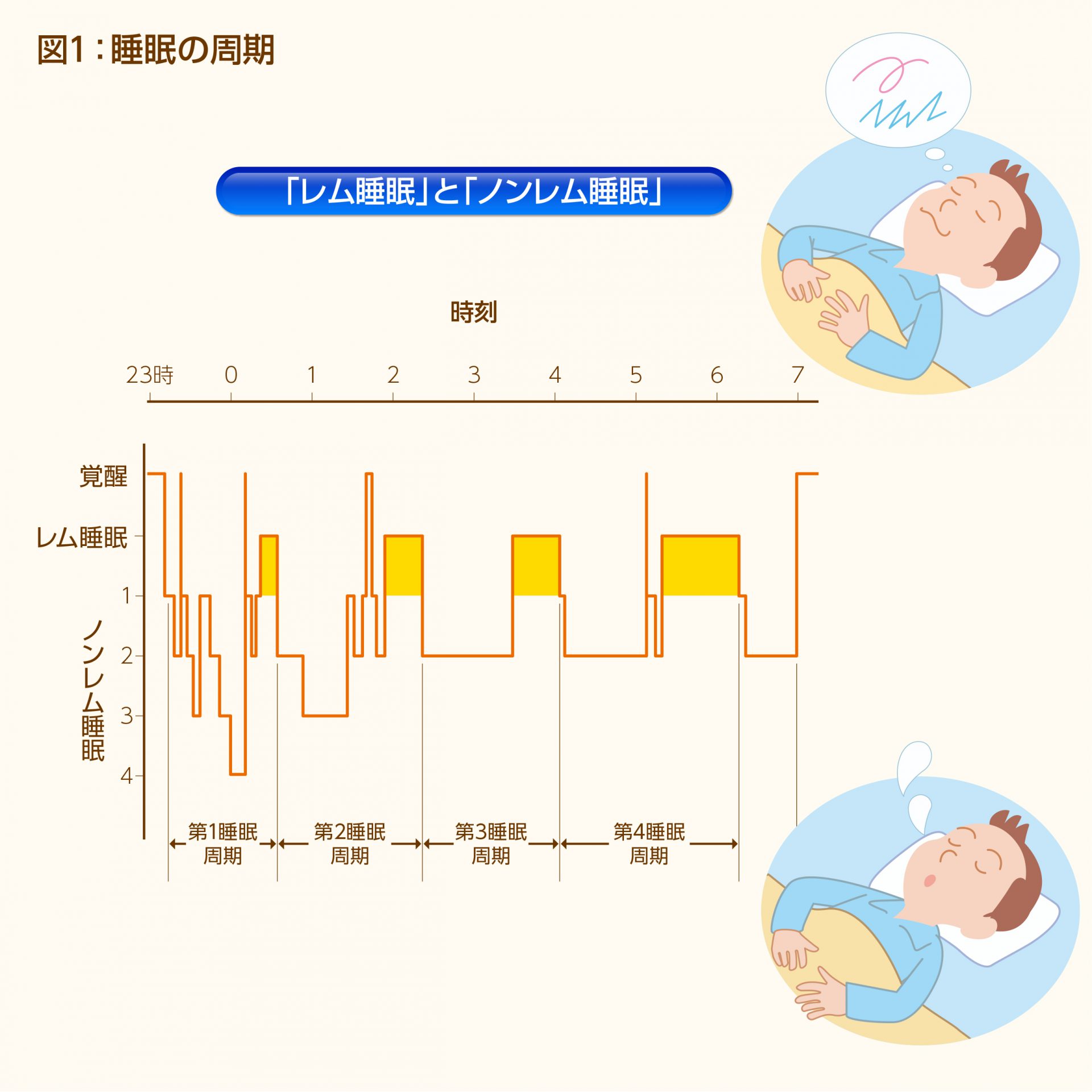 快適な睡眠が健康を守る!!~ぐっすり眠れるコツを教えます~ 血管の健康とよい生活習慣がわかる情報サイト 血管健康くらぶ 快適な睡眠が健康を守る!!~ぐっすり眠れるコツを教えます~ 血管の健康とよい生活習慣がわかる情報サイト 血管健康くらぶ