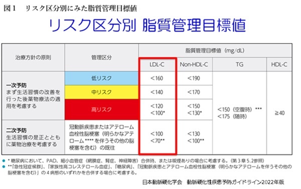 リスク区分別に脂質管理目標値を示した表。低・中・高リスクおよび二次予防で、LDLコレステロールなどの管理目標値が異なることが示されている。