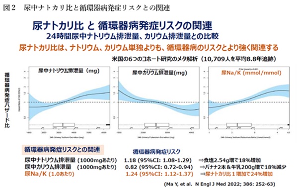 尿中ナトカリ比と循環器病発症リスクの関連を示した図。尿中ナトカリ比が高いほど循環器病発症リスクが高いことが、24時間尿ナトリウム・カリウム排泄量の解析から示されている。